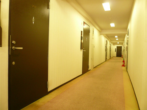 P1110655.jpg