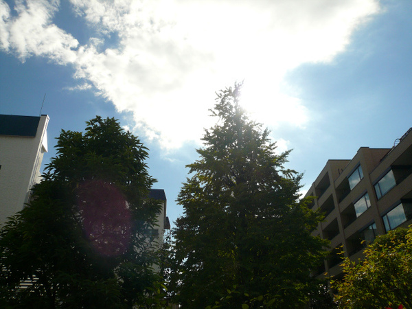 P1110658.jpg