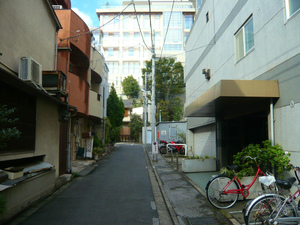 P1110717.jpg