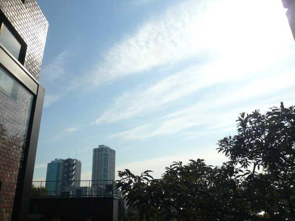 P1110850.jpg