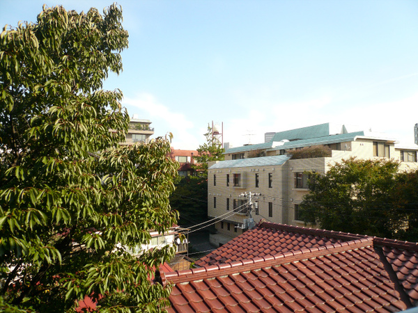 P1110936.jpg