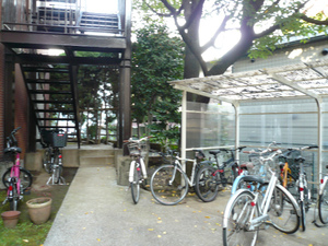 P1110943.jpg
