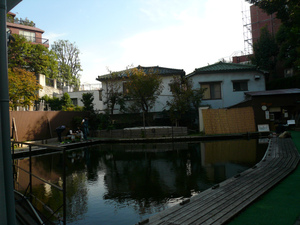 P1110951.jpg