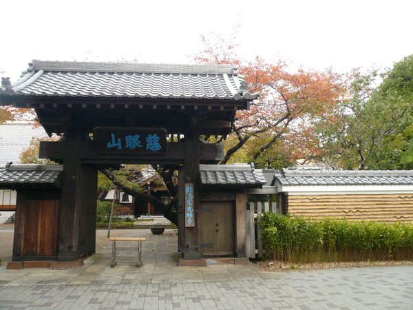 P1120209.jpg
