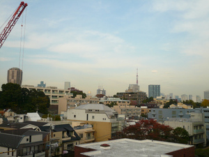 P1120226.jpg