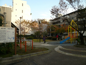 P1120322.jpg