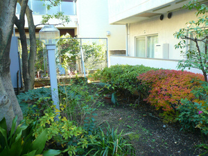 P1120643.jpg