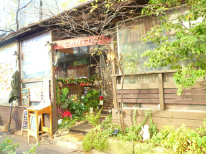 P1120785.jpg