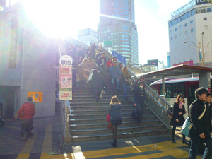 P1120883.jpg