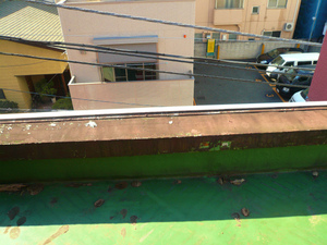 P1120947.jpg