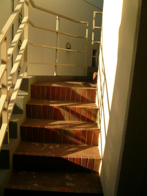 P1130033.jpg