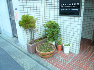 P1130084.jpg