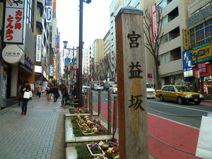 P1130090.jpg