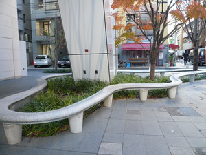 P1130200.jpg