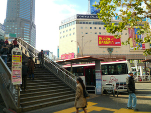 P1130329.jpg