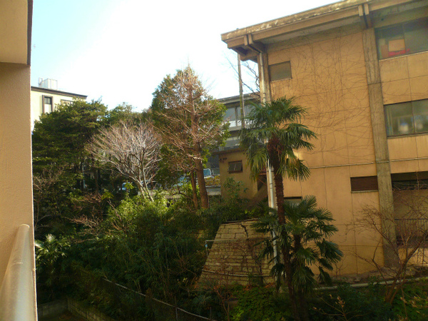 P1130378.jpg