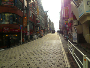 P1130435.jpg