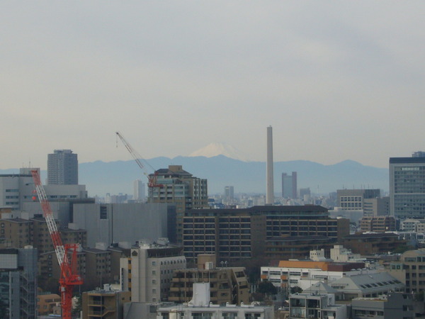 P1130465.JPG