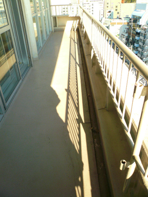 P1130544.jpg