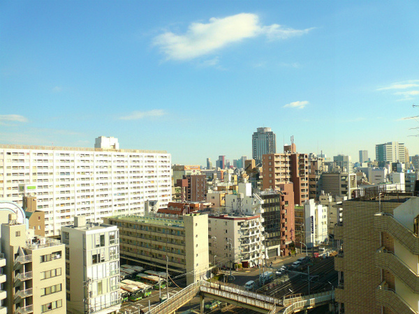 P1130545.jpg