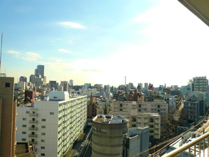 P1130546.jpg