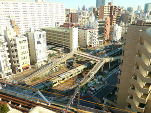 P1130547.jpg