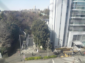 原宿トリニティ (13).jpg