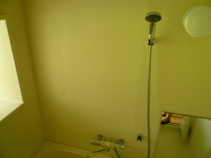 bath.JPG