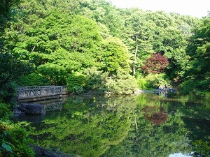 c0116595_1085086.jpg