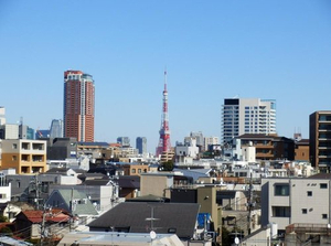 サンクタス広尾常磐松ウエストコート6F (14).jpg