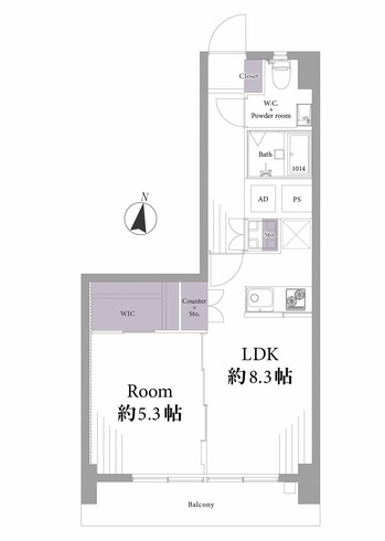 ハイネス麻布303号室 (1) - コピー.jpg