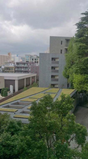 インペリアル広尾504 (1).jpg