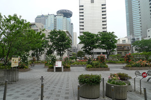 氷川公園.jpg