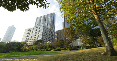 hinokicho7.jpg