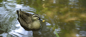 img_slide04.jpg