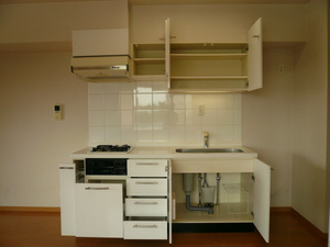 rando_kitchin.jpg