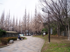 ranzyeaoyama3.jpg