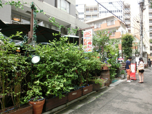 sCIMG1445.jpg