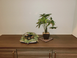sCIMG1755.jpg
