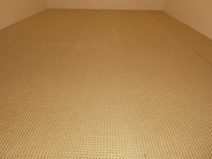 sCIMG1826.jpg