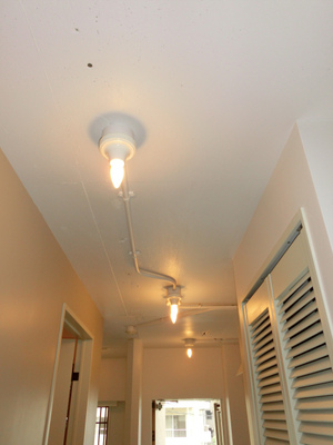 sCIMG1833.jpg