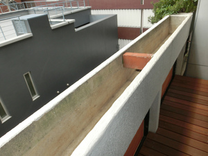 sCIMG1846.jpg