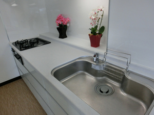 sCIMG3768.jpg