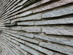 sCIMG5323.jpg