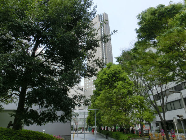 sCIMG5426.jpg