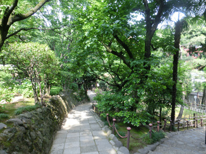 sCIMG6261.jpg