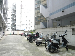sP1100450.jpg