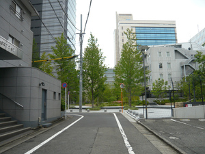 sP1110104.jpg