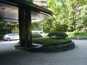 sP1110632.jpg