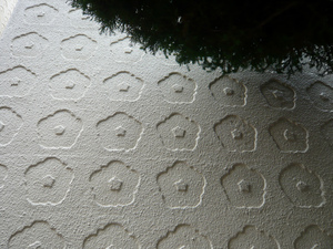 sP1110736.jpg